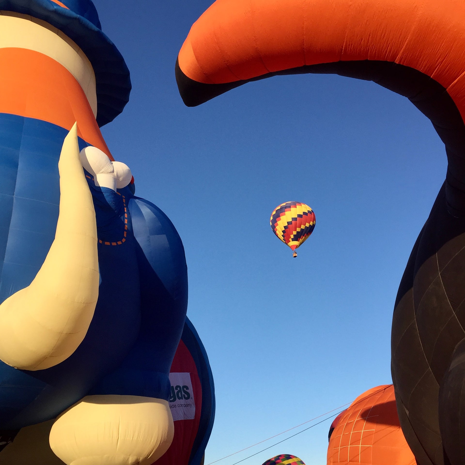 Air Balloon Flight